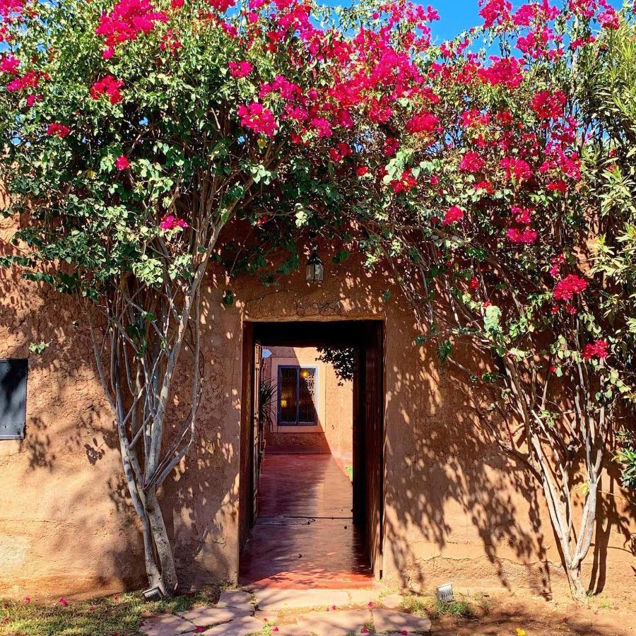 La Ferme Berbere Adult Only Bed and Breakfast El Harkat Εξωτερικό φωτογραφία