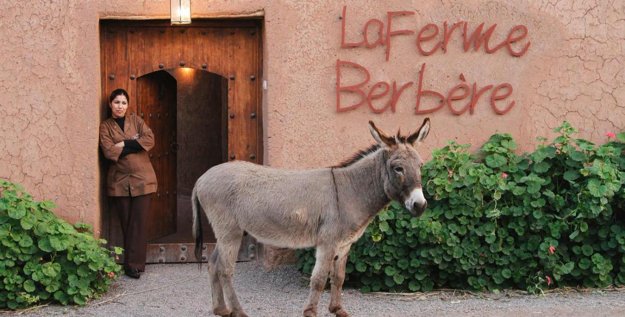 La Ferme Berbere Adult Only Bed and Breakfast El Harkat Εξωτερικό φωτογραφία