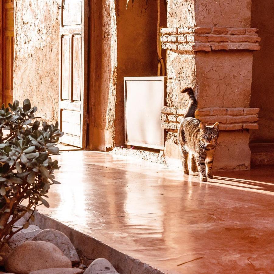 La Ferme Berbere Adult Only Bed and Breakfast El Harkat Εξωτερικό φωτογραφία