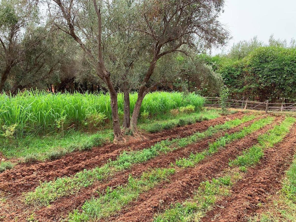 La Ferme Berbere Adult Only Bed and Breakfast El Harkat Εξωτερικό φωτογραφία