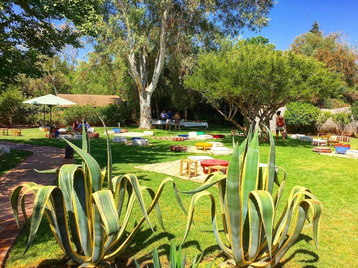 La Ferme Berbere Adult Only Bed and Breakfast El Harkat Εξωτερικό φωτογραφία
