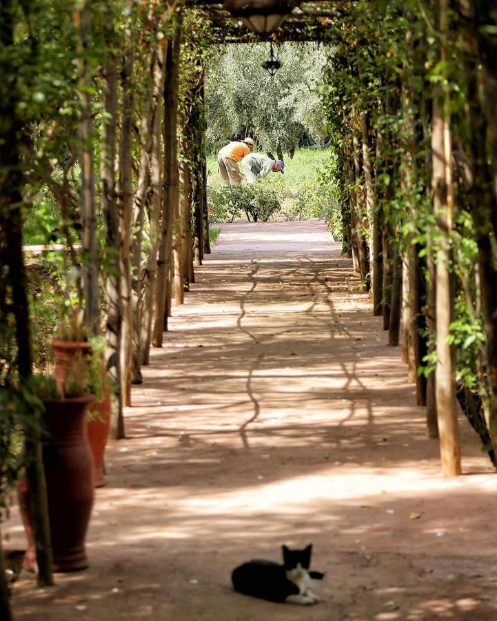 La Ferme Berbere Adult Only Bed and Breakfast El Harkat Εξωτερικό φωτογραφία