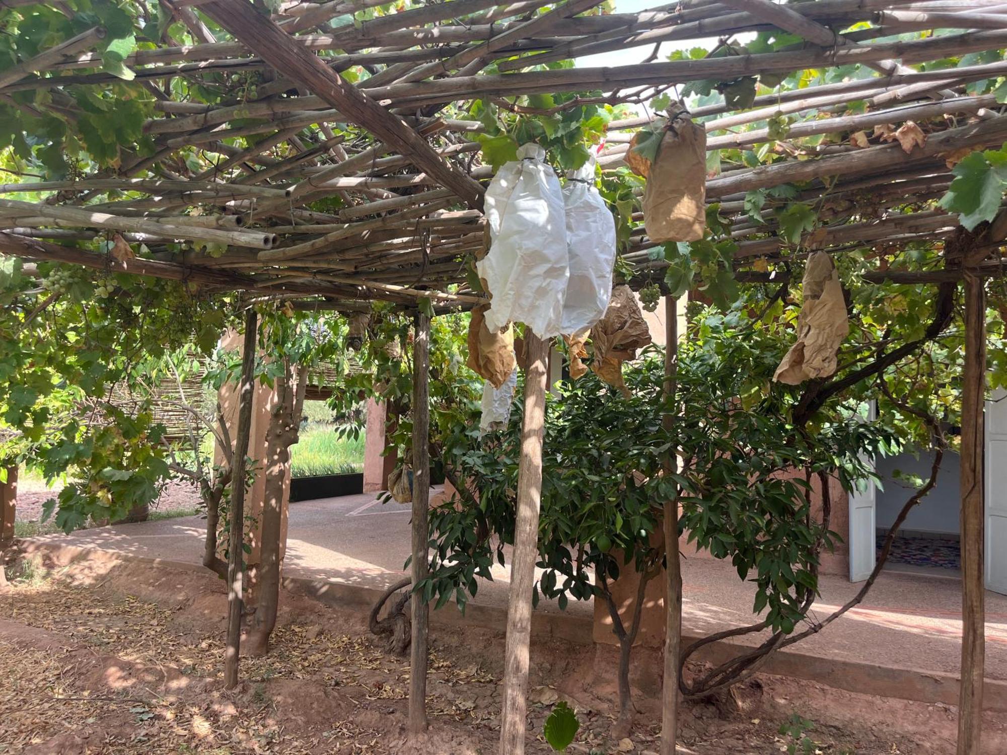 La Ferme Berbere Adult Only Bed and Breakfast El Harkat Εξωτερικό φωτογραφία